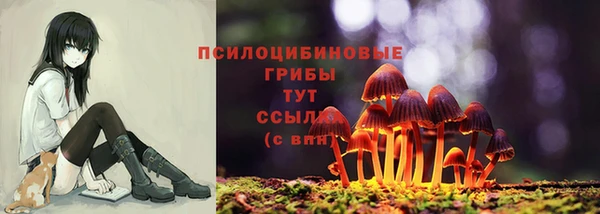 соль ск Алзамай