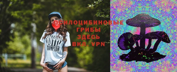 соль ск Алзамай